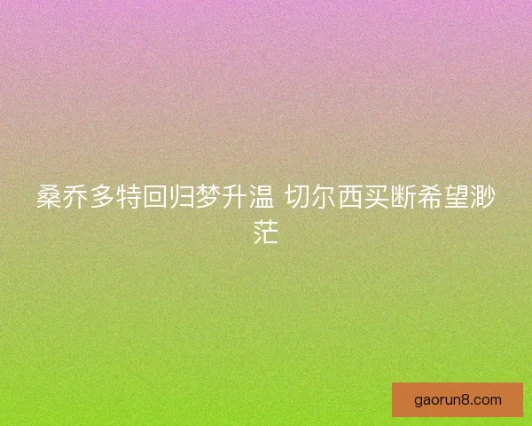 桑乔多特回归梦升温 切尔西买断希望渺茫