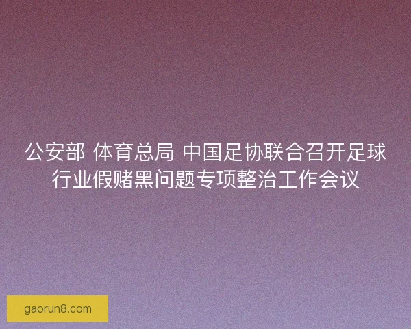 公安部 体育总局 中国足协联合召开足球行业假赌黑问题专项整治工作会议